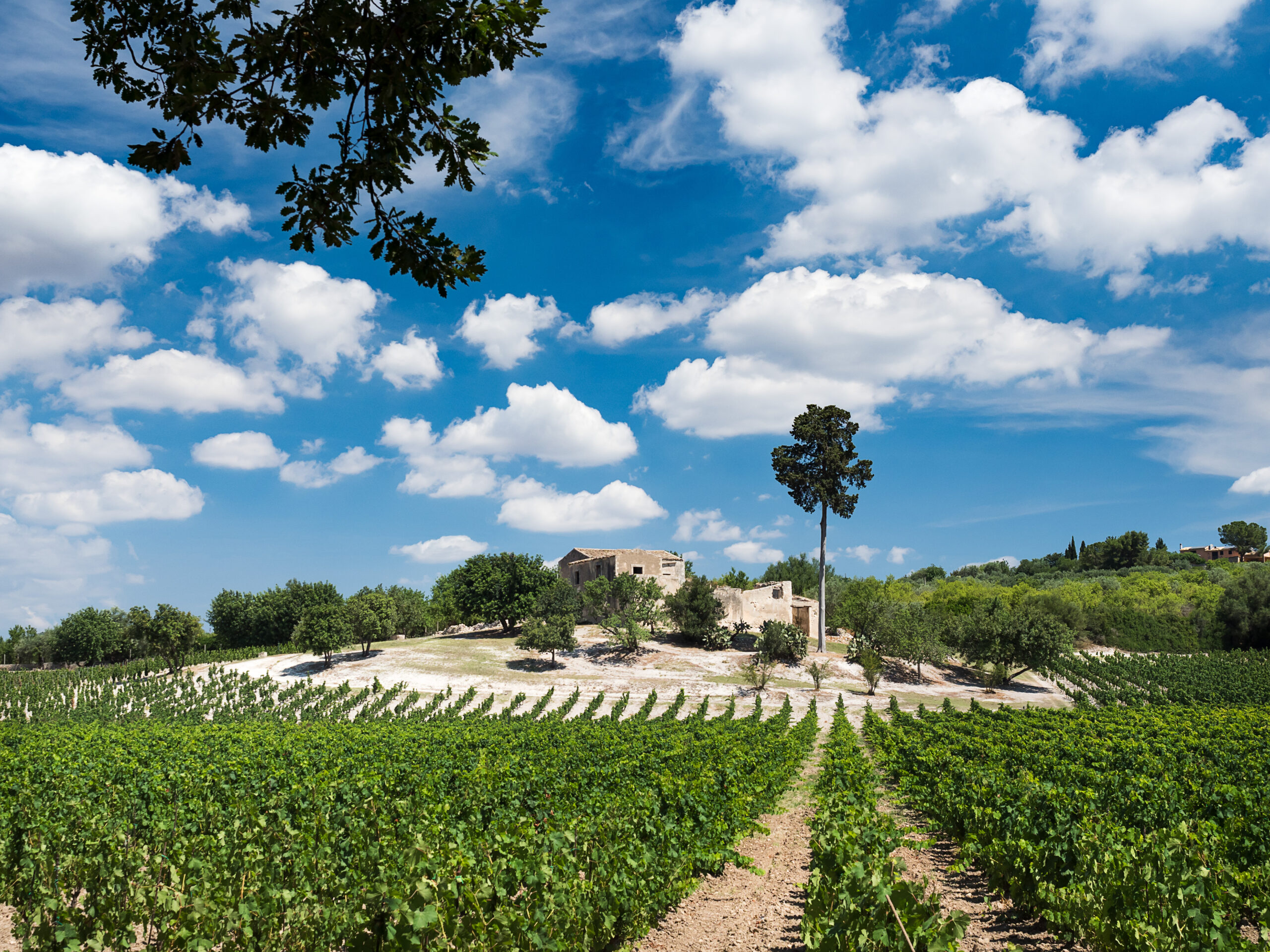 Tenuta Zisola, articolo su Plume Magazine